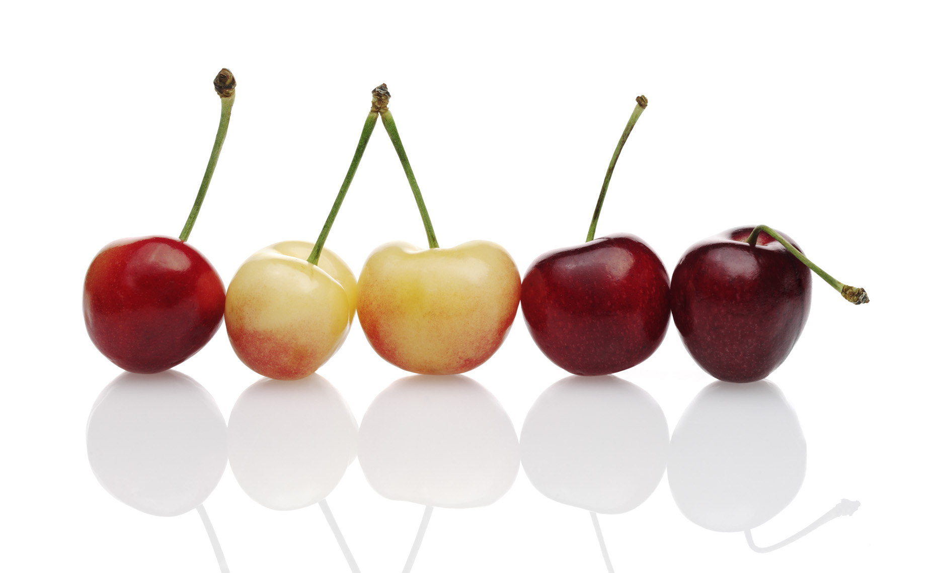Food Still Life, A Row of Cherries