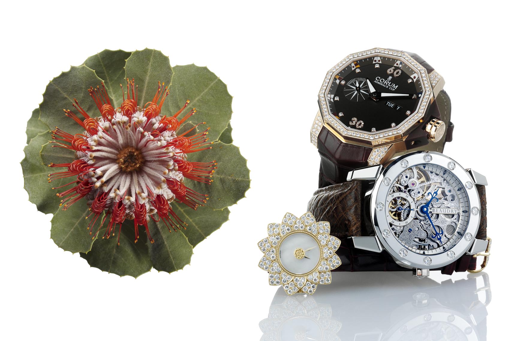 Jewelry Still Life, Luxury Designer Watches