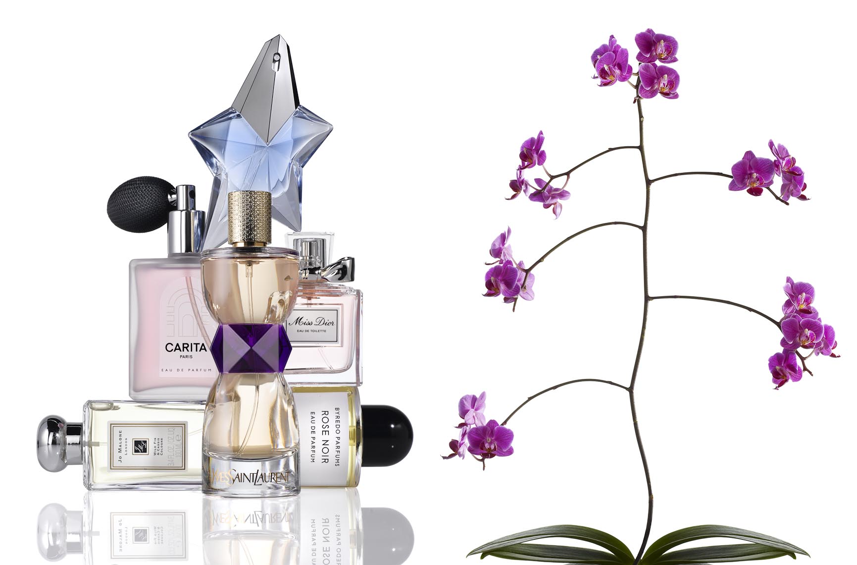 Cosmetics, Perfume Bottles and Orchid with Pink Blossoms - Mike Lorrig
