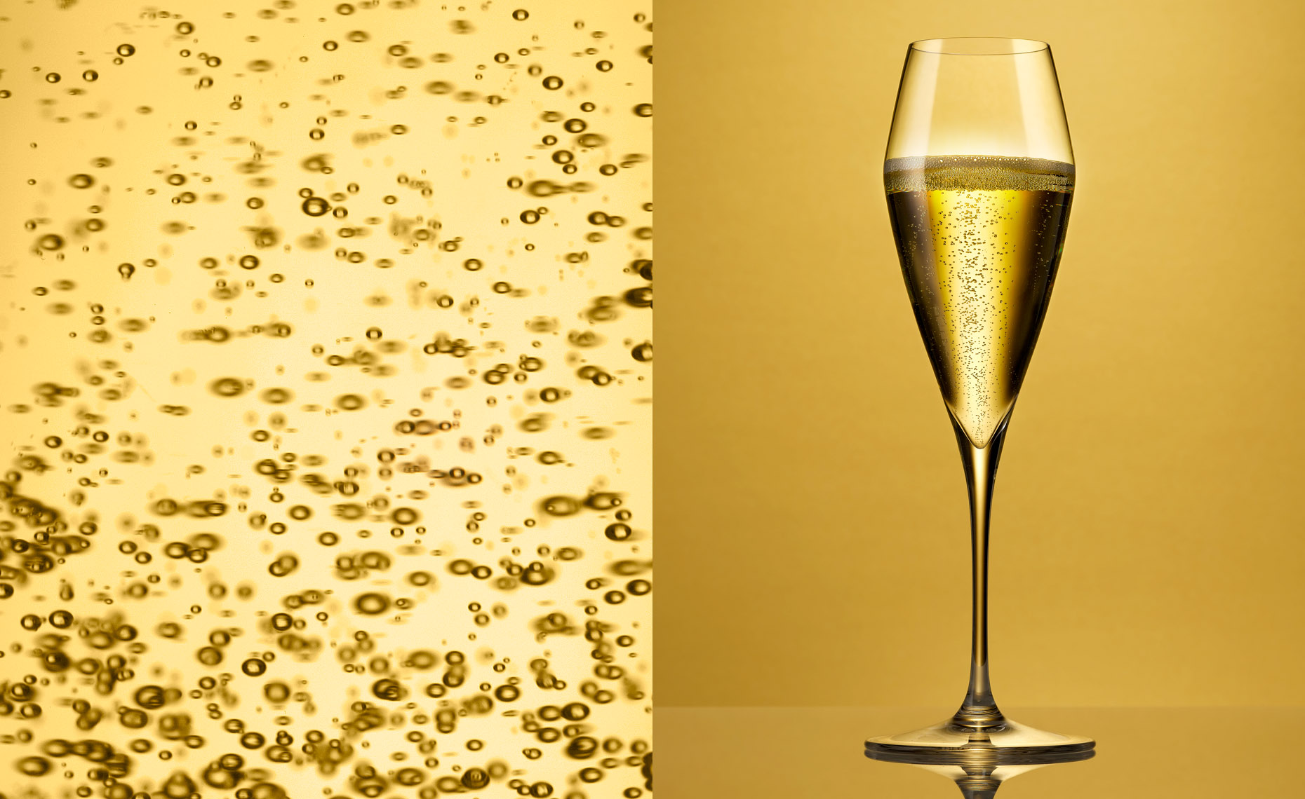 champagne glass bubbles