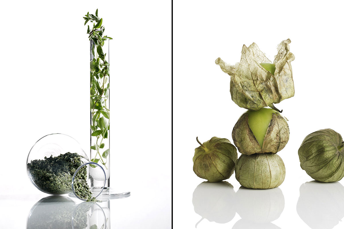 Food Still Life, Oregano And Tomatillos